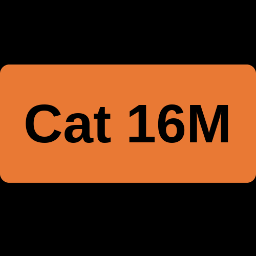 Cat 16M